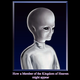 Image for article titled The Online Legacy of a Suicide Cult and the Webmasters Who Stayed Behind